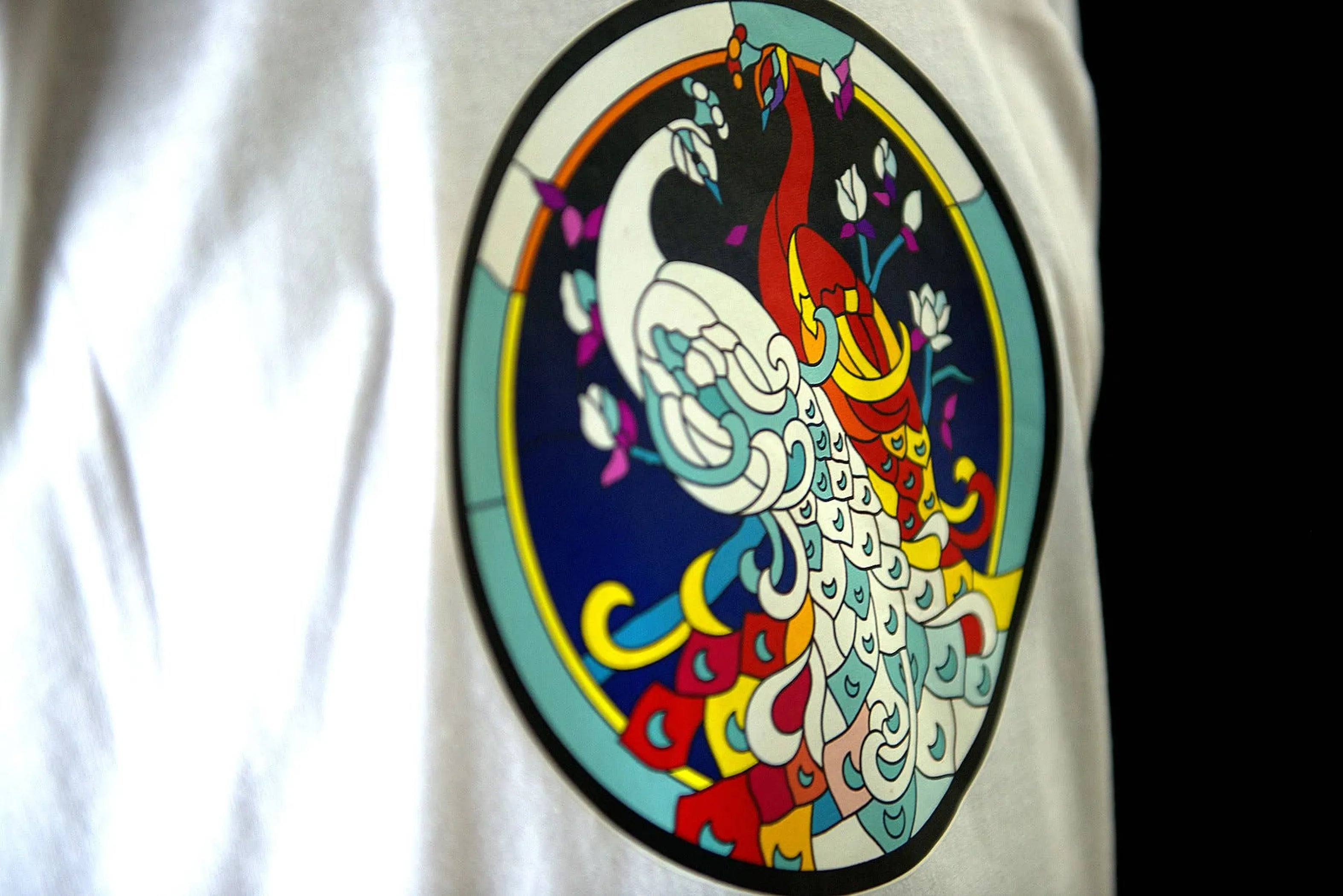 Men's VaVichi Stain Glass Ringer Tee